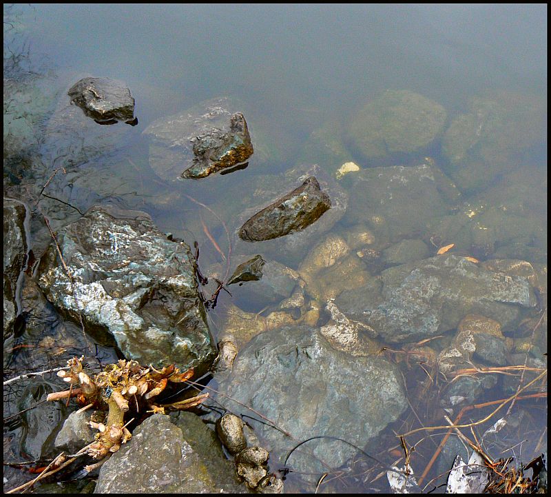 Waterside