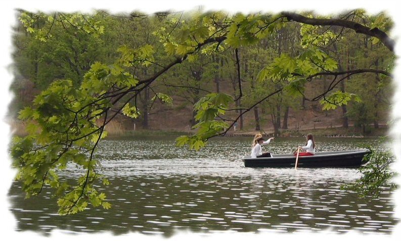 Boat trip