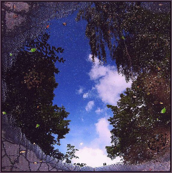 View through the asphalt