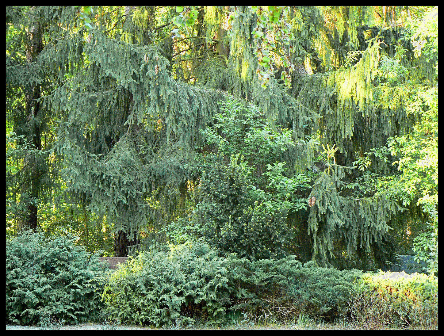 Cemetry park