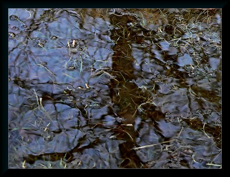 Puddle