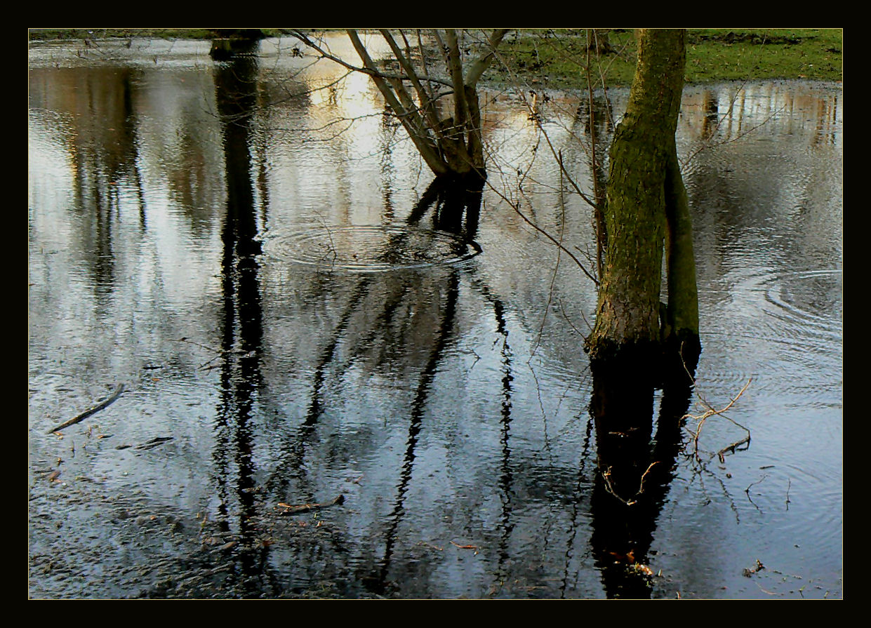 Flooding