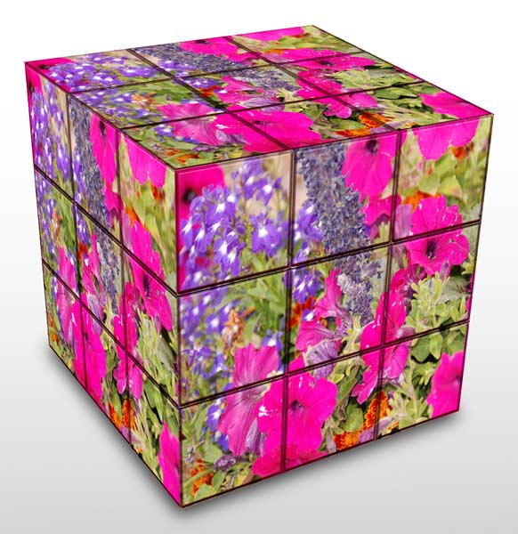Panos_Rubic_Cube_Action.jpg