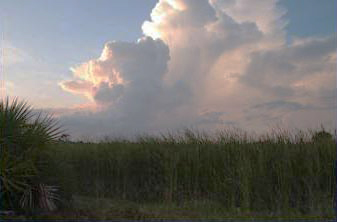 cloud-formation_curves.jpg