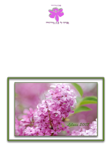 lilac-stroke-half-fold.jpg