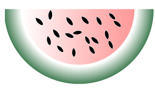 LVS_Illustrator_Part_1_Week_2