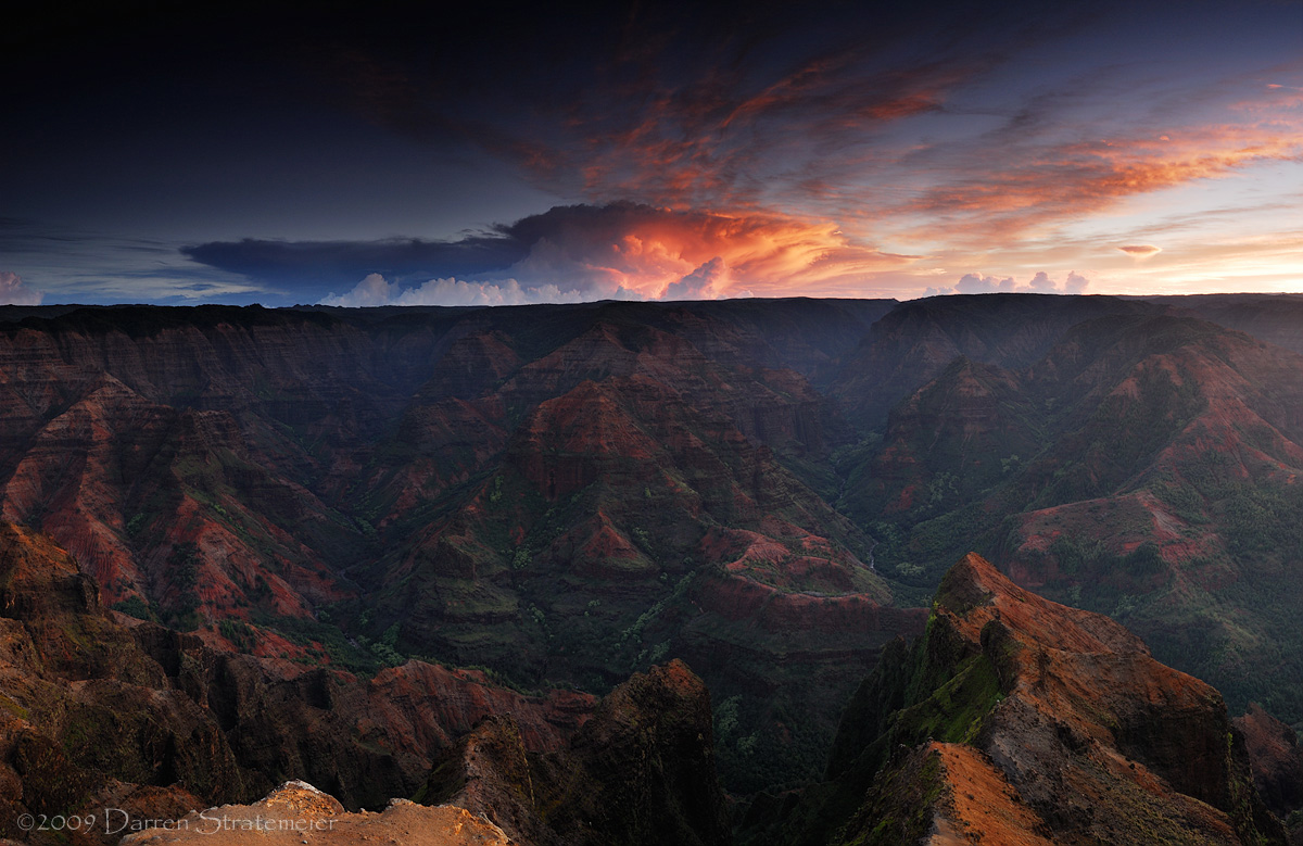 What a Show of Color!