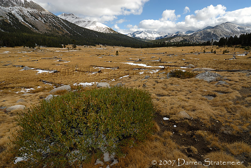 Dana Meadows, Yosemite