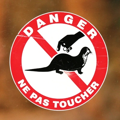 No touching the otters