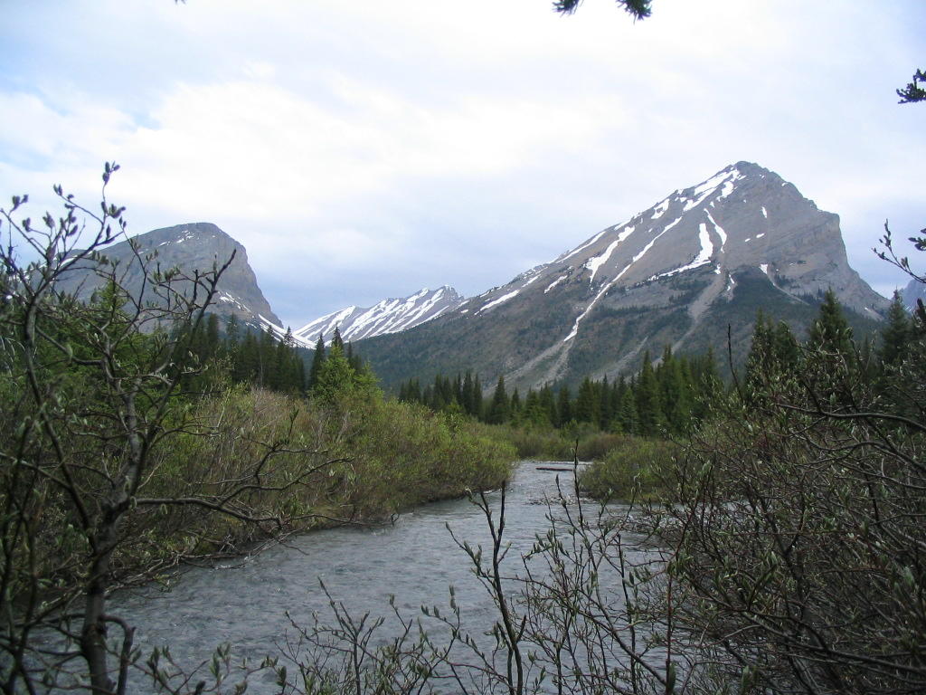 Bryant Creek near Allenby Junction