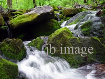 Caeser brook CT, appalachian trail