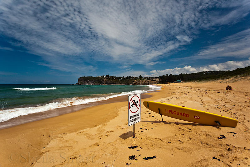 Avalon Beach looking south with surfboard