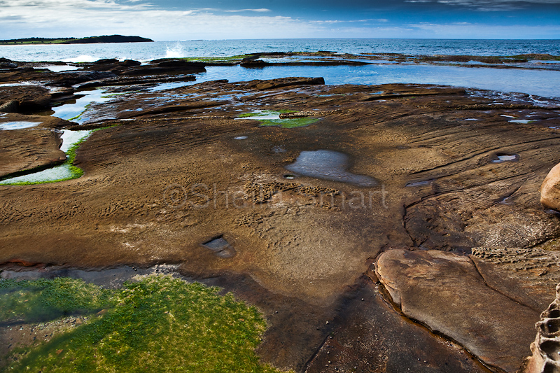 Dee Why rockshelf