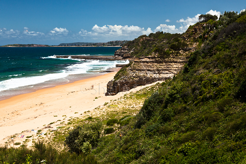 Turrimetta Beach