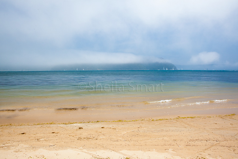 Mist over Pittwater 