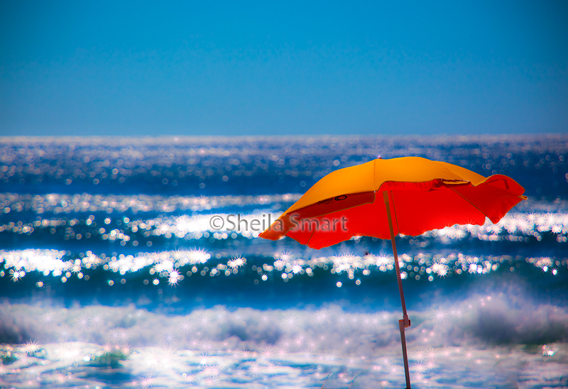 Umbrella at Manly