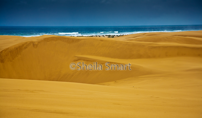 Dunes at Birubi Beach 