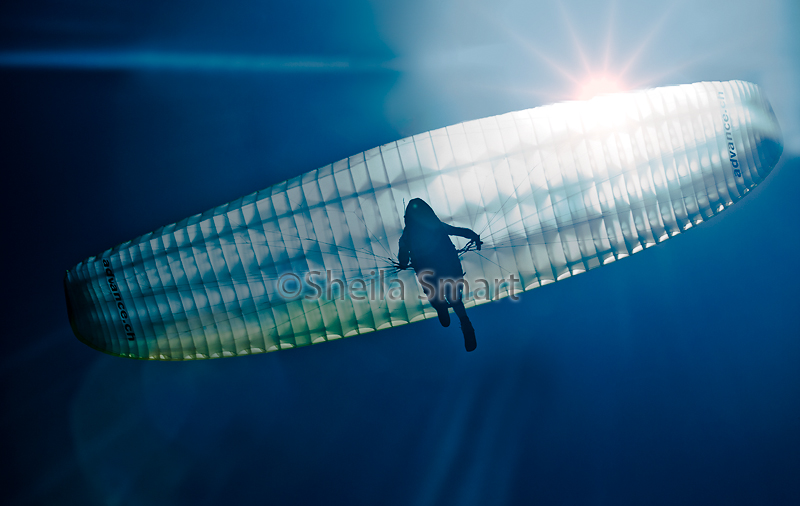 Icarus