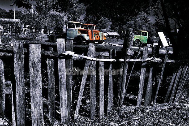 Hill End fence with old trucks - selective color