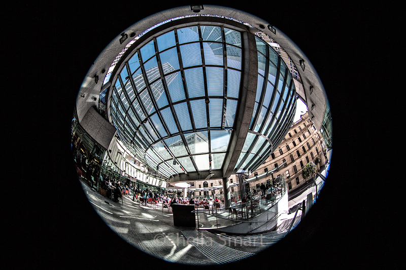 AMP forecourt fisheye 