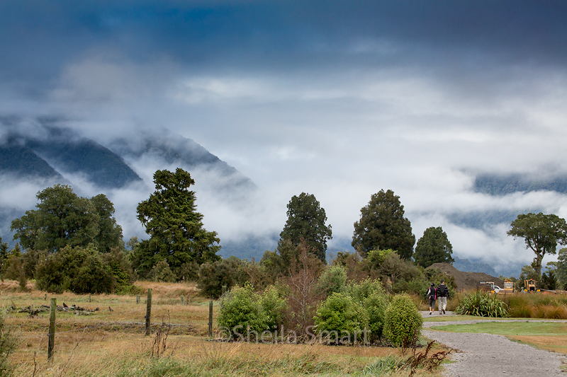 Mist and trees nr Lake Matheson 