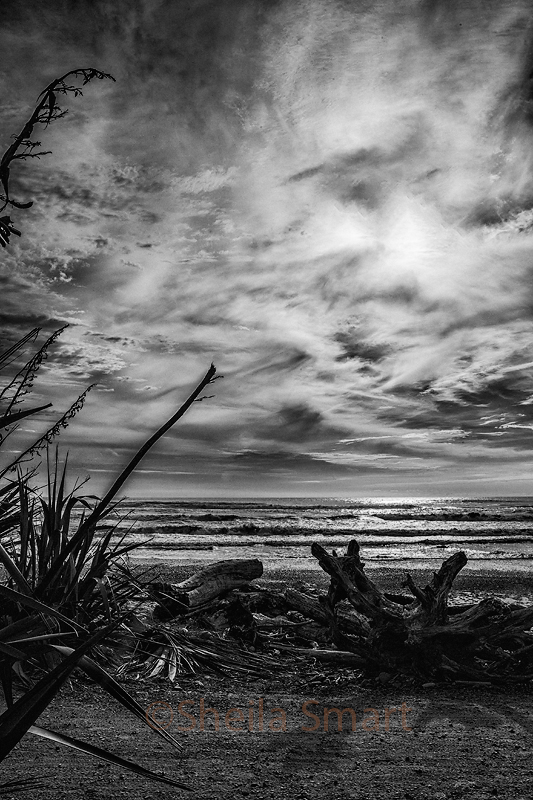 Tasman Sea portrait mono SEP