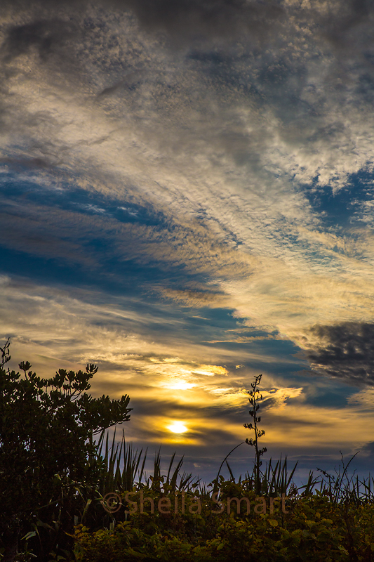 Tasman setting sun