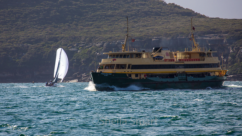 Manly ferry and yacht