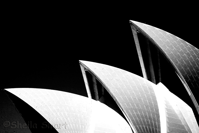 Sydney Opera House - a black and white abstract