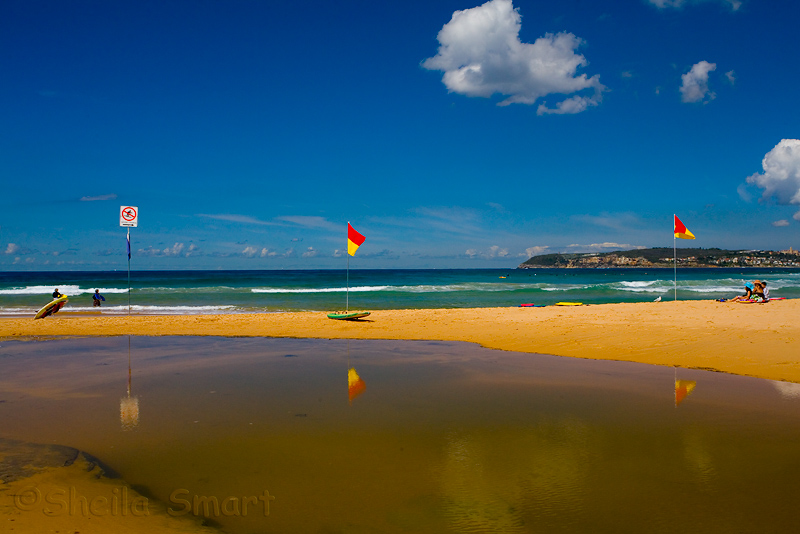 North Curl Curl Beach with flags