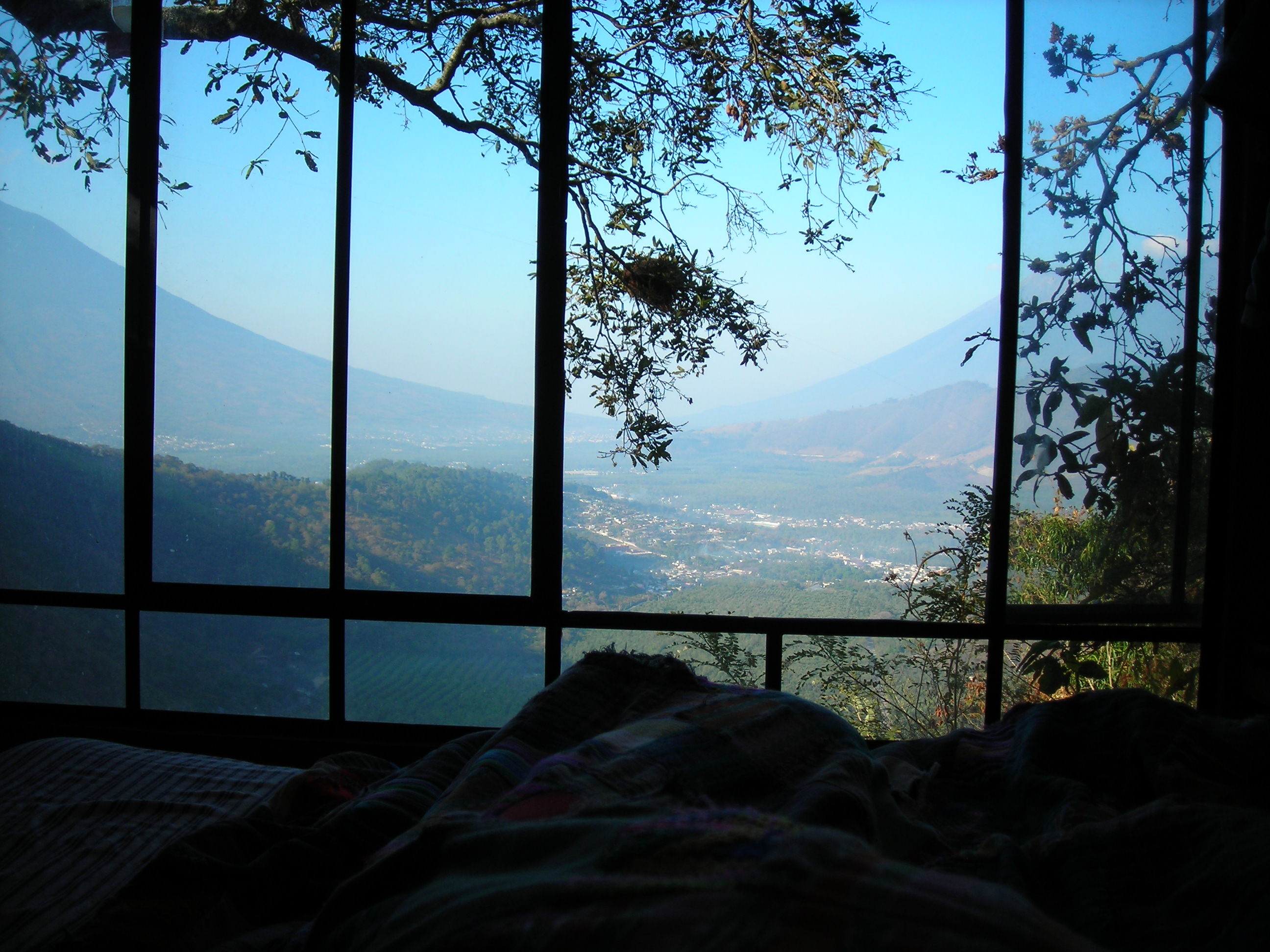 view from the bed in the treehouse.  buenos dias!
