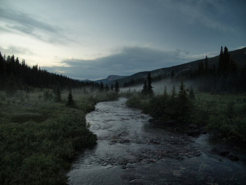 Pharaoh Creek