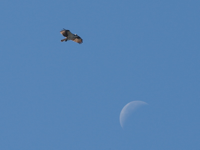 P8255585.jpg