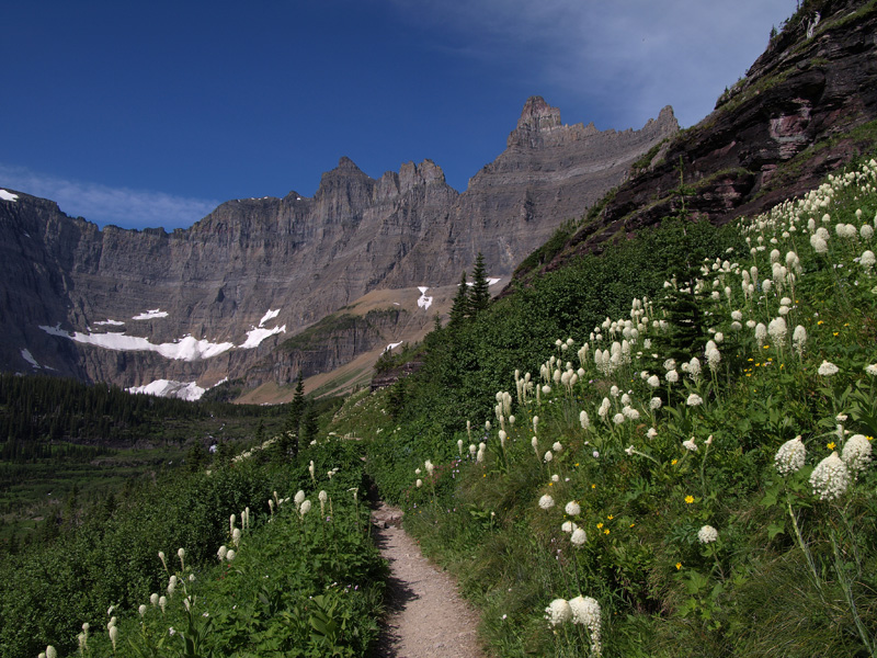 Trail to Iceberg Lake