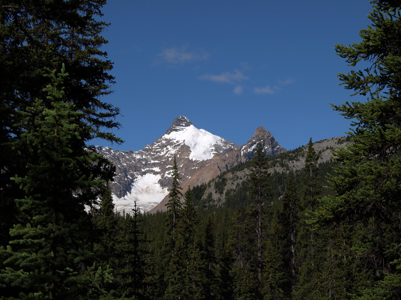 Mt. Athabasca