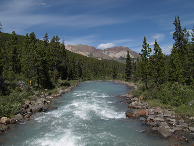 Brazeau River