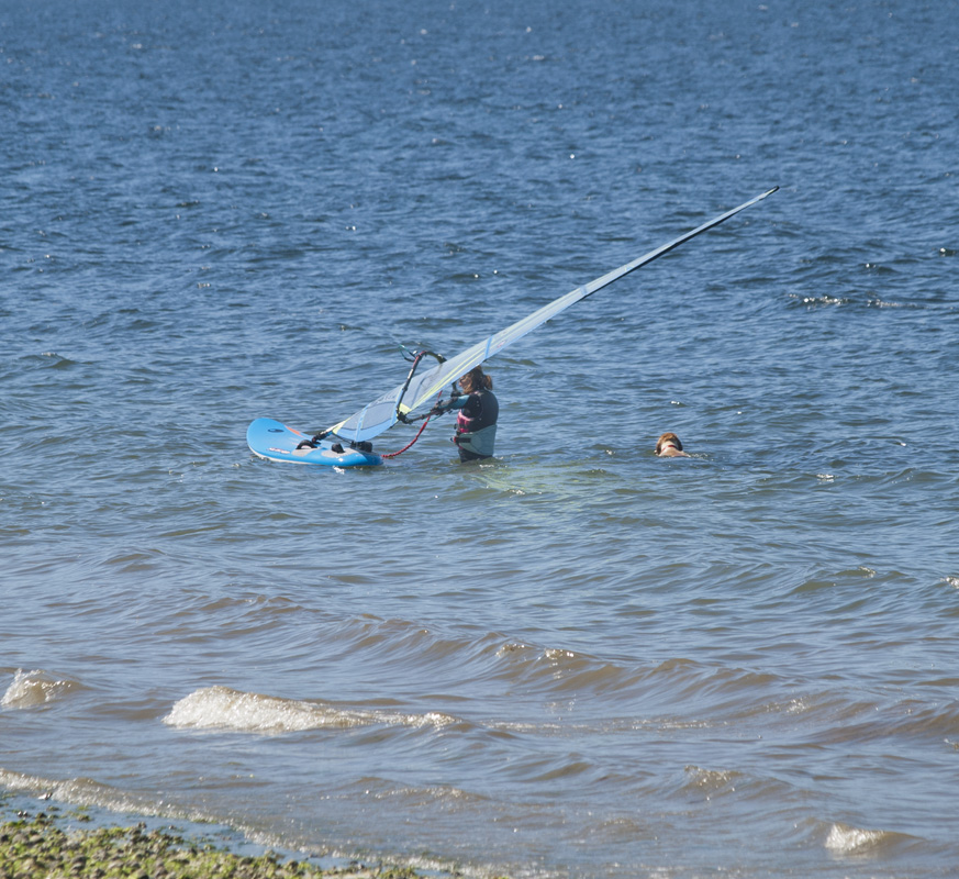 Windsurfing with Gibson
