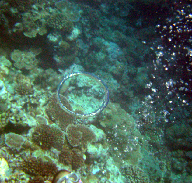 Bubble Ring