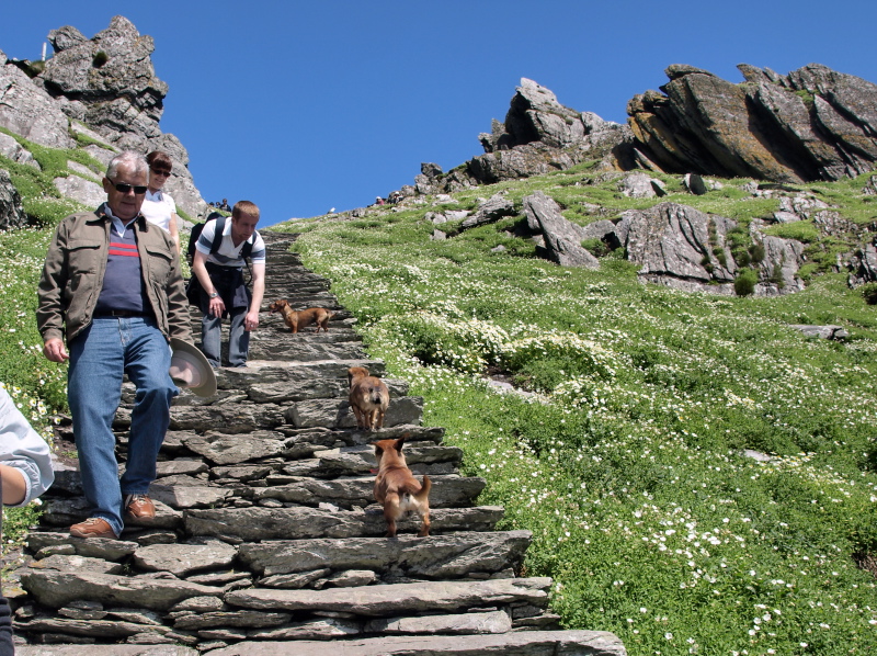 The climb