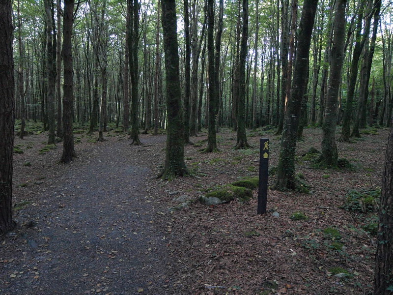 Mid clare way
