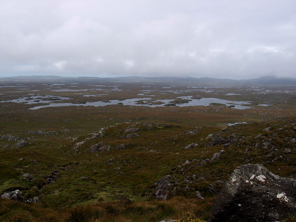 roundstone bog