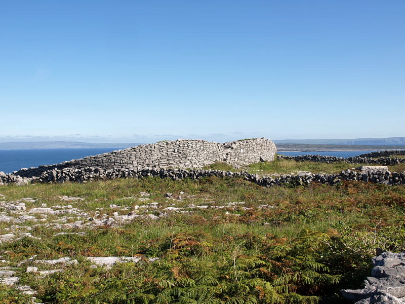 Dun Fearbhui