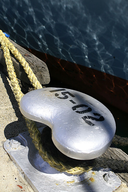 IMG_5851 copy.jpg