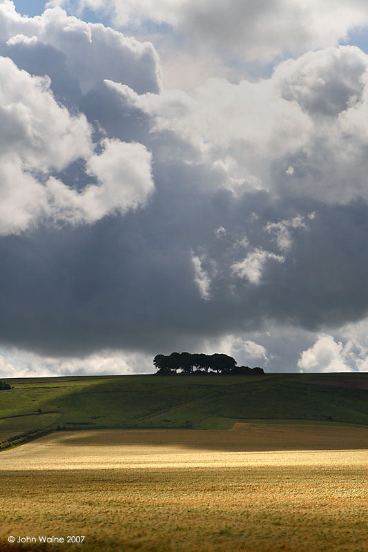 Wiltshire Downs