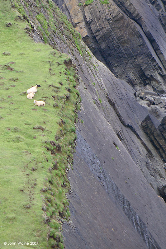Living on The Edge!