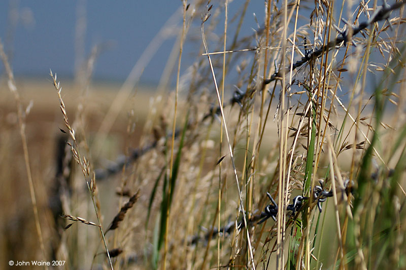 Summer Hike