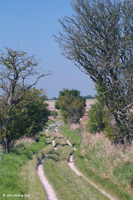 Downland Track