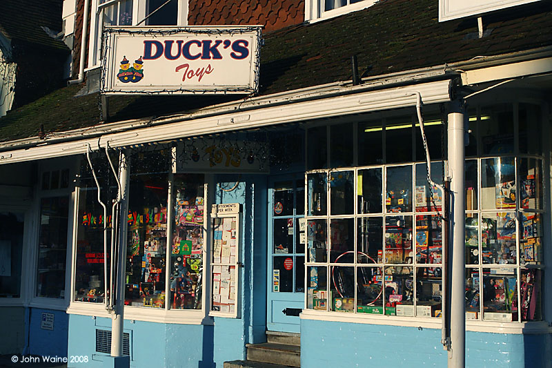 Ducks Toys