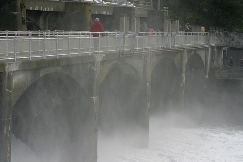 Floodgates