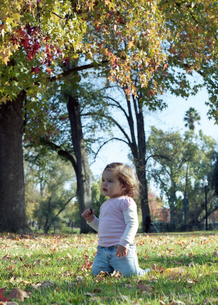 20091113Scan038_web.jpg